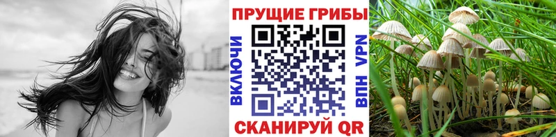 мега зеркало  Сергач  Галлюциногенные грибы мухоморы 